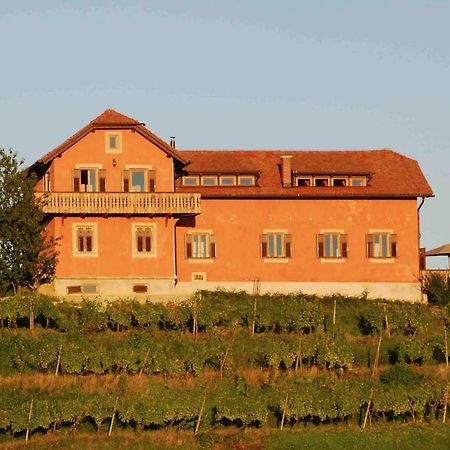 Вилла Hisa Vina Podlehnik Экстерьер фото