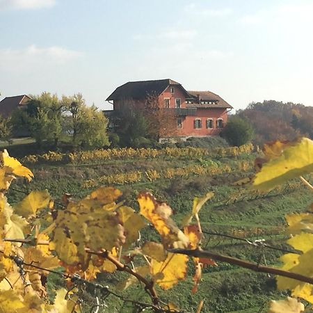 Вилла Hisa Vina Podlehnik Экстерьер фото