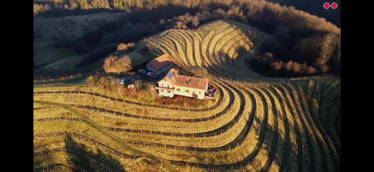 Вилла Hisa Vina Podlehnik Экстерьер фото