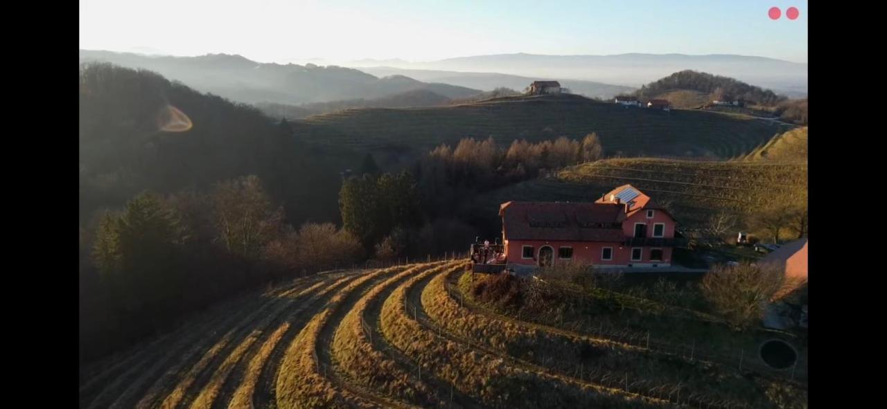 Вилла Hisa Vina Podlehnik Экстерьер фото