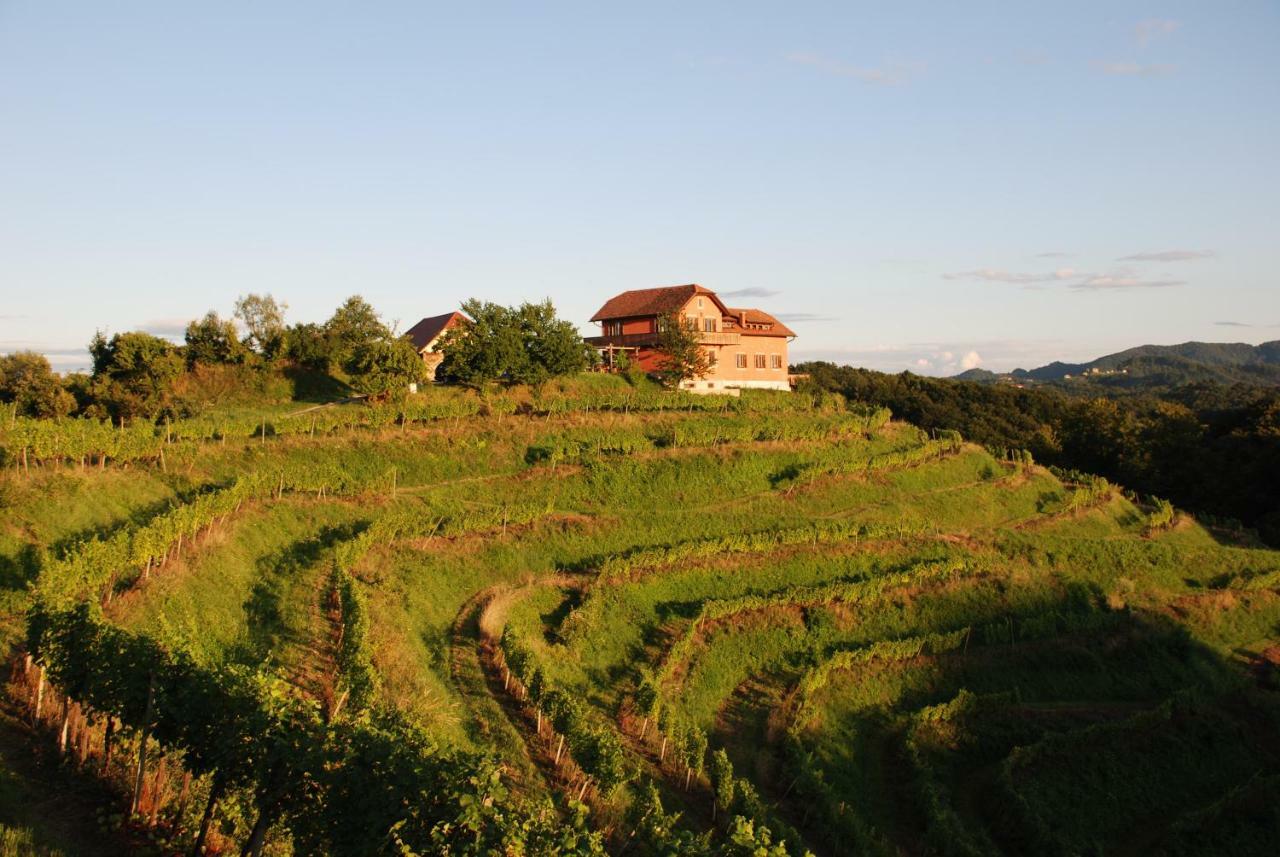 Вилла Hisa Vina Podlehnik Экстерьер фото