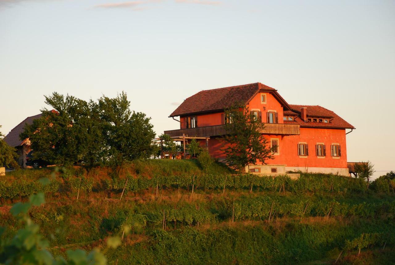Вилла Hisa Vina Podlehnik Экстерьер фото