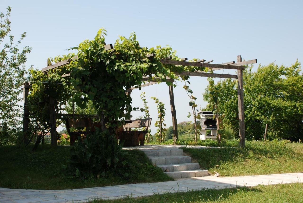 Вилла Hisa Vina Podlehnik Экстерьер фото