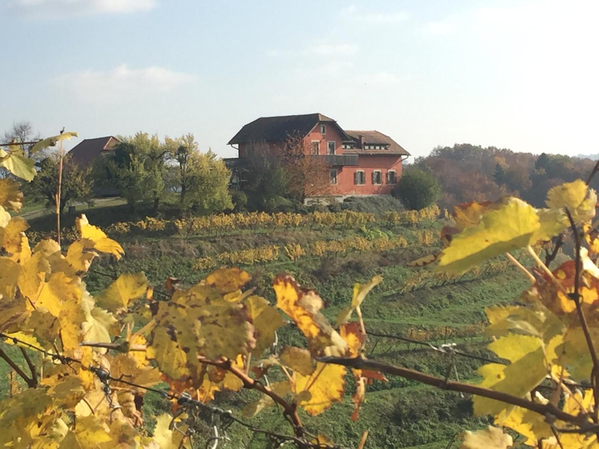 Вилла Hisa Vina Podlehnik Экстерьер фото